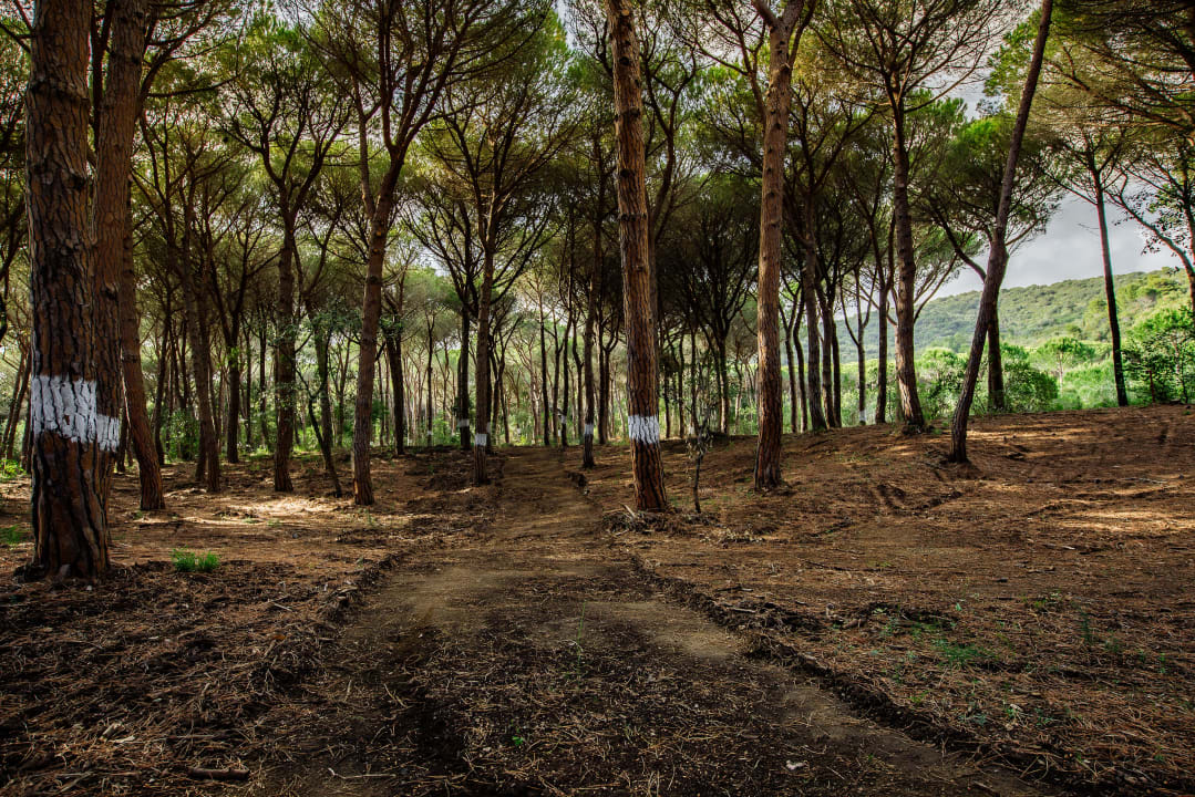 Sport & Freizeit Riva del Sole Resort & SPA