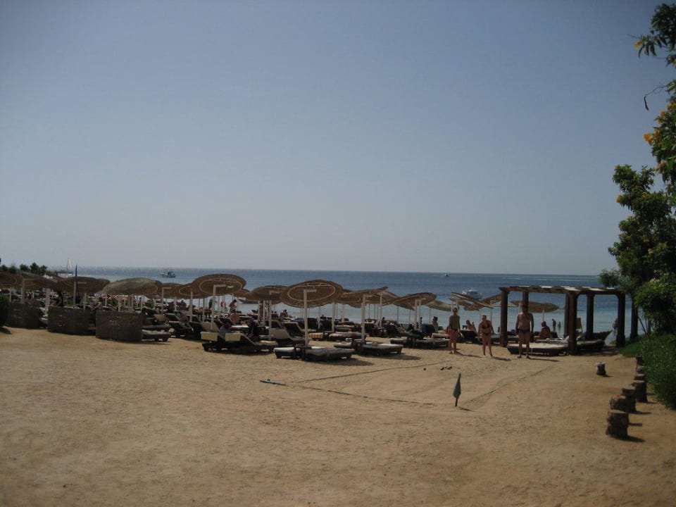 Hotelstrand Prima Life Makadi Resort