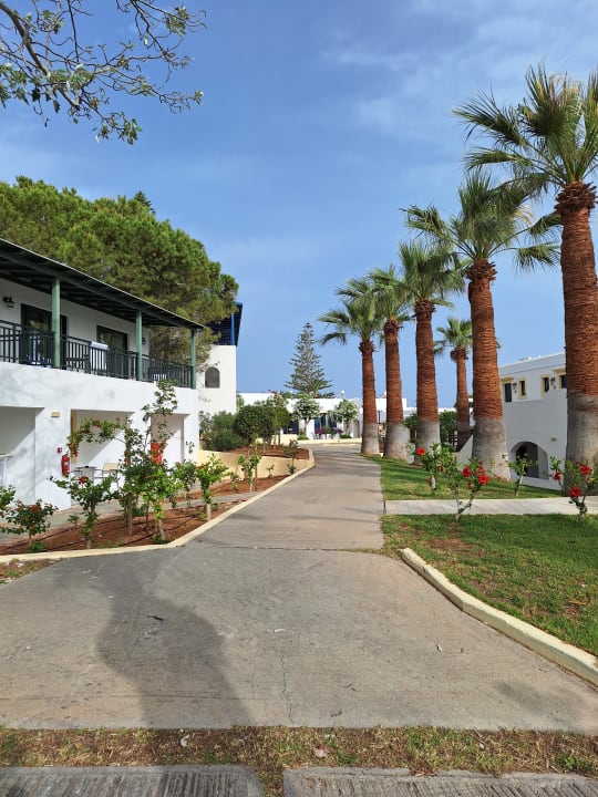 Gartenanlage TUI SUNEO Chrissi Amoudia