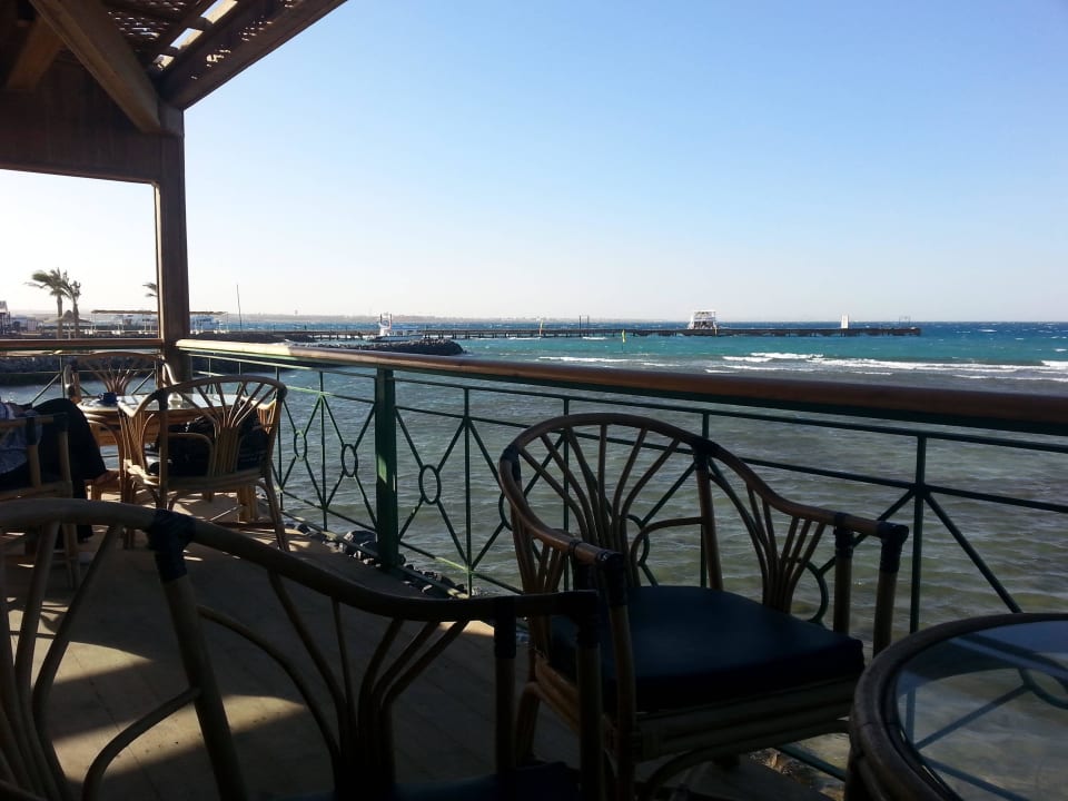 Strandbar Desert Rose