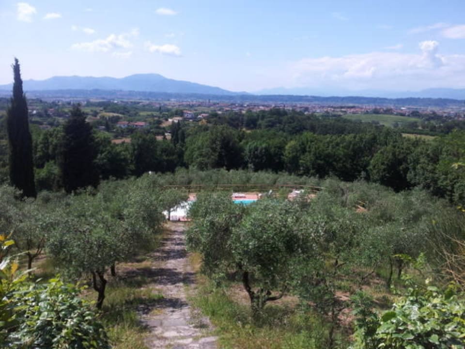 Weg zum Pool Agriturismo Montalto