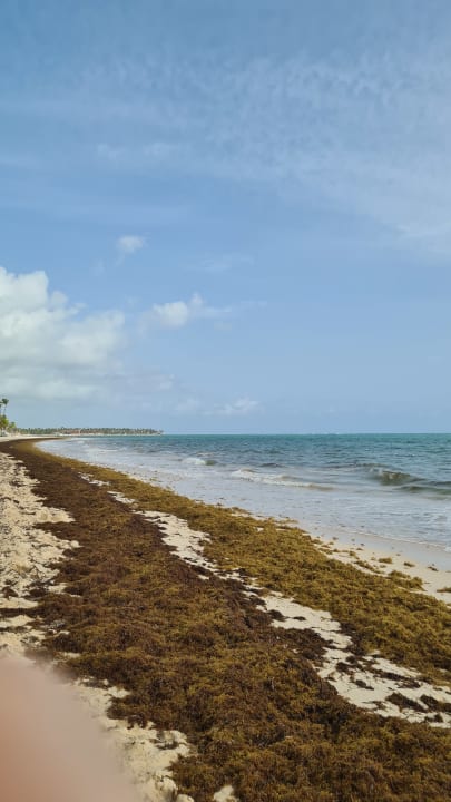 Strand Grand Palladium Select Bávaro Resort & Spa