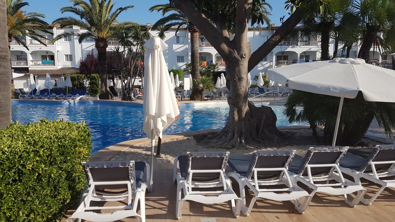 Pool Alcudia Garden Aparthotel