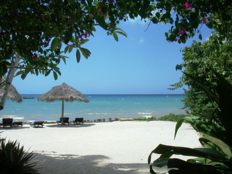 Imani Beach Villa: spiaggia privata Imani Beach Villa