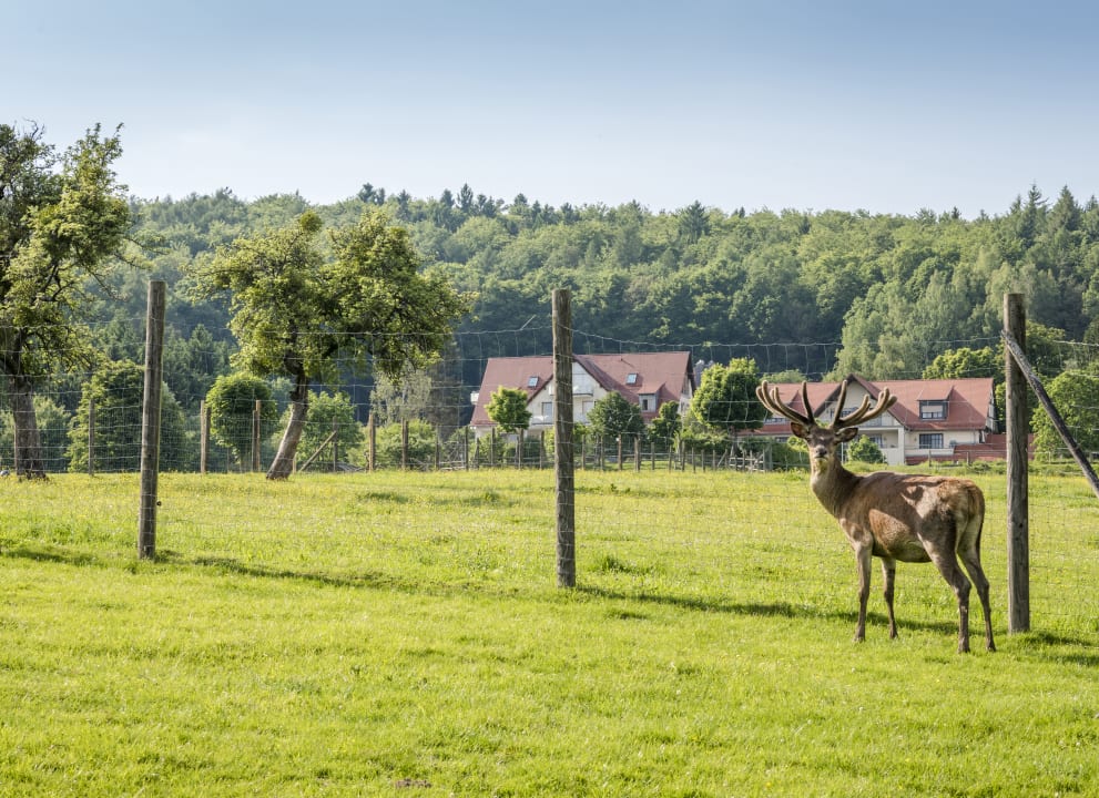 Außenansicht Landhotel Heimathenhof
