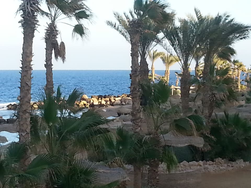 Strand Pickalbatros Citadel Resort