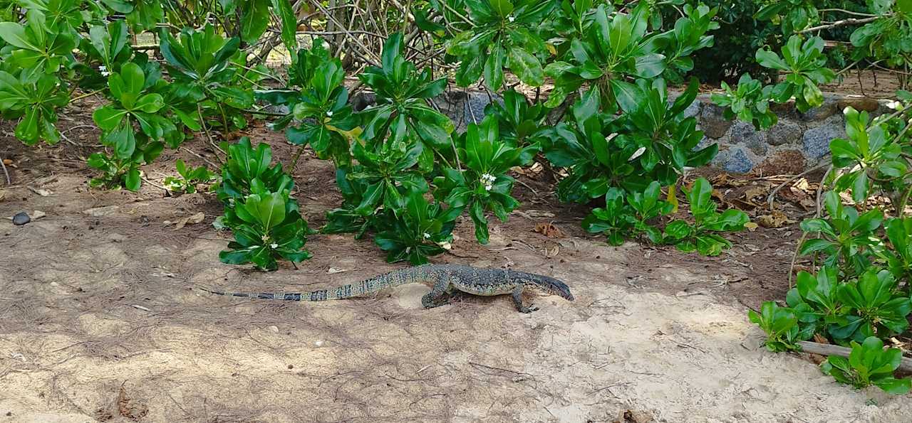 Gartenanlage Moracea by Khao Lak Resort