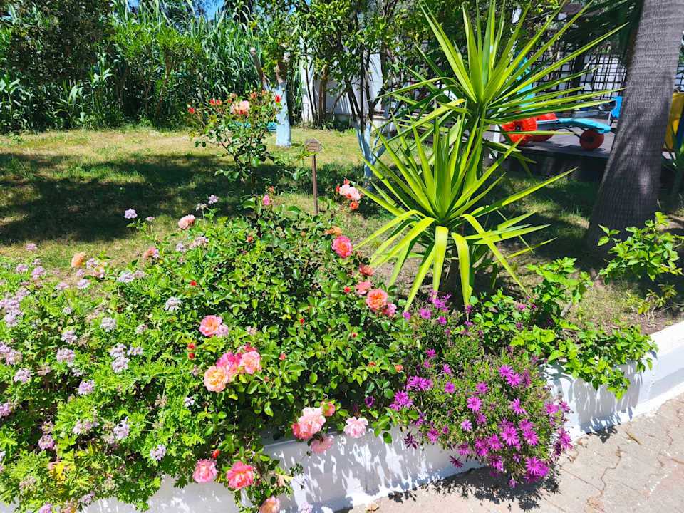 Gartenanlage Labranda Lebedos Princess
