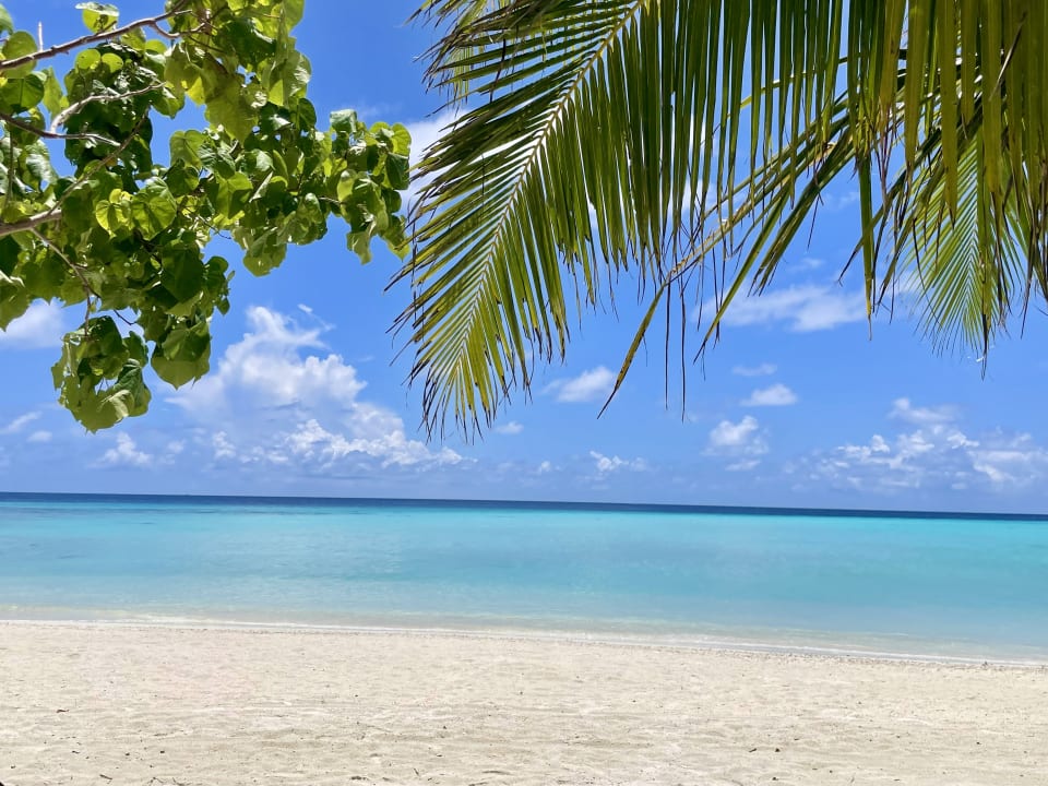 Ausblick Summer Island Maldives