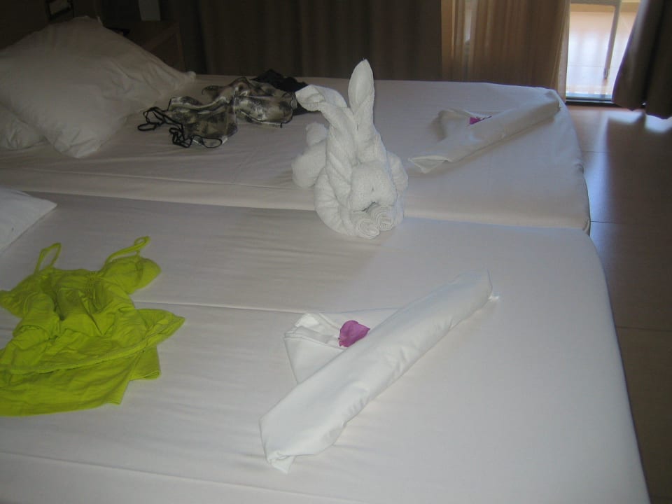 Service vom Personal Cactus Royal