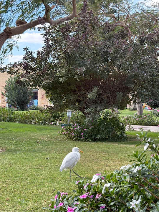 Gartenanlage Sentido Caribbean World Soma Bay