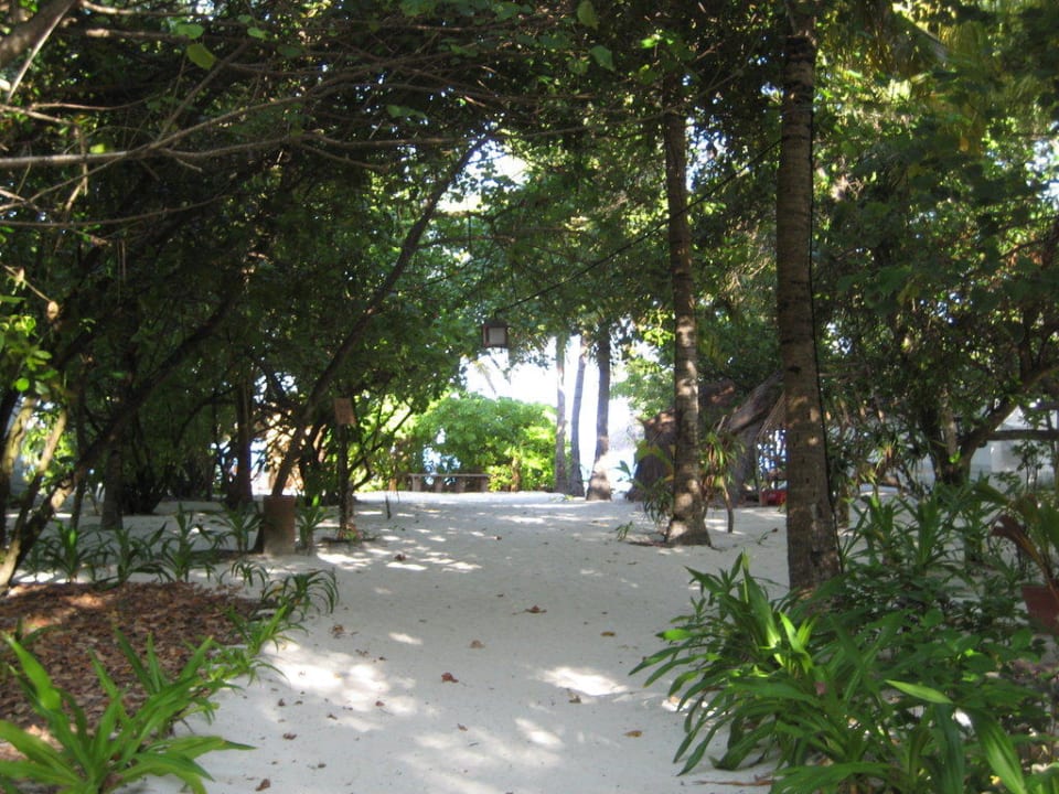 Zeigt die Wege(Sand) auf der Insel NH Collection Maldives Reethi Resort