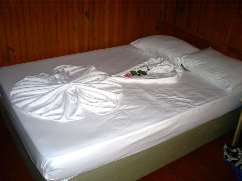 Zimmer Clover Magic Nova Beach