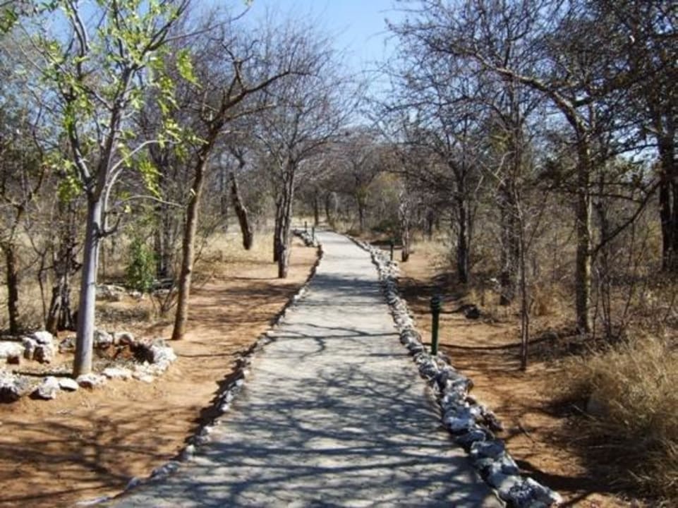 Weg vom Bungalow zum Hauptgebäude Hotel Mushara Lodge