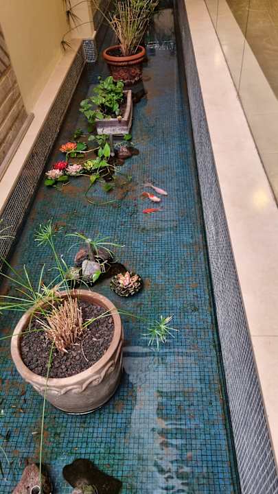 Lobby Kn Arenas del Mar Hotel