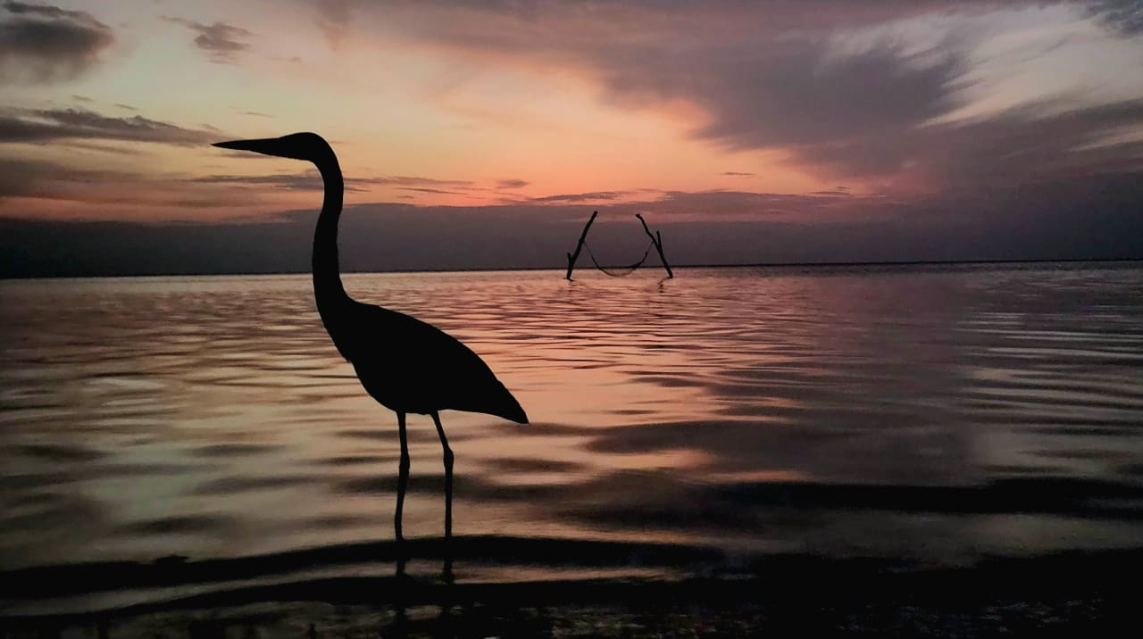Strand Summer Island Maldives
