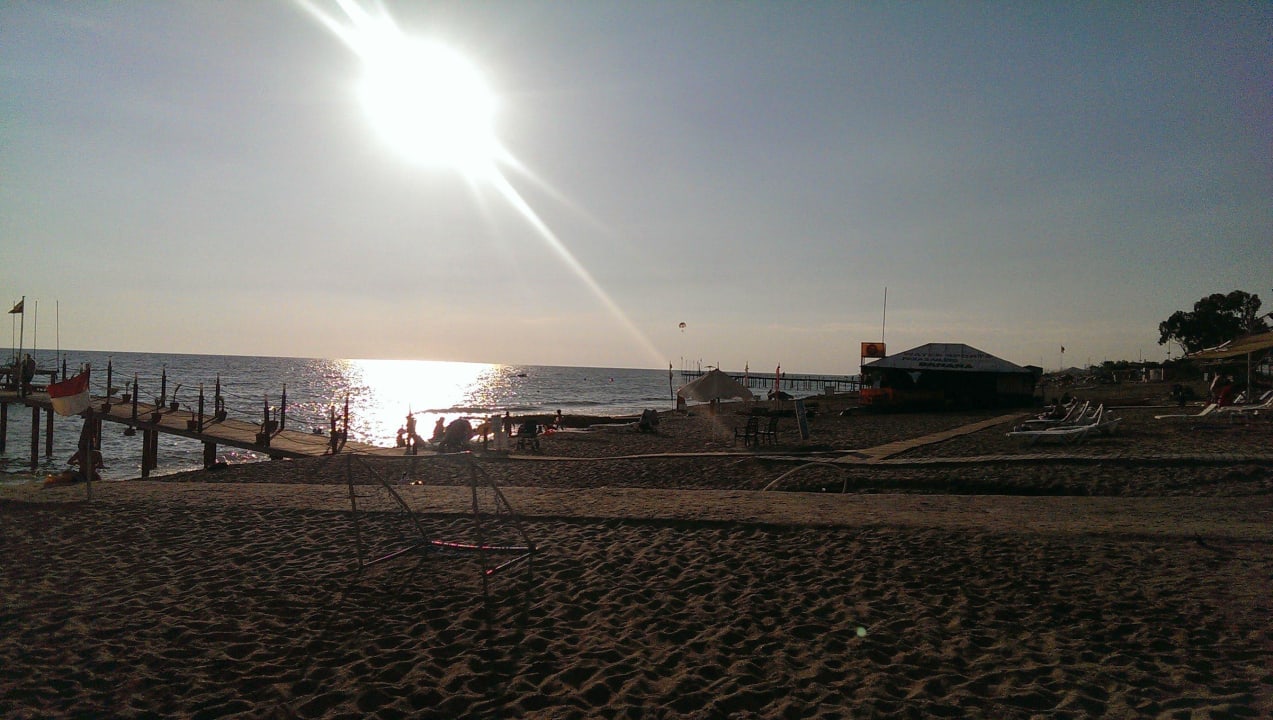 Toll                                               Dizalya Palm Garden