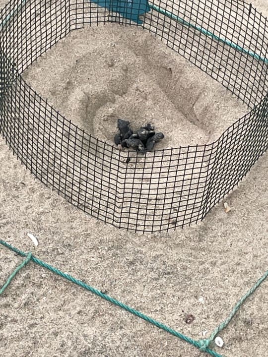 Sonstiges Meliá Laguna Beach