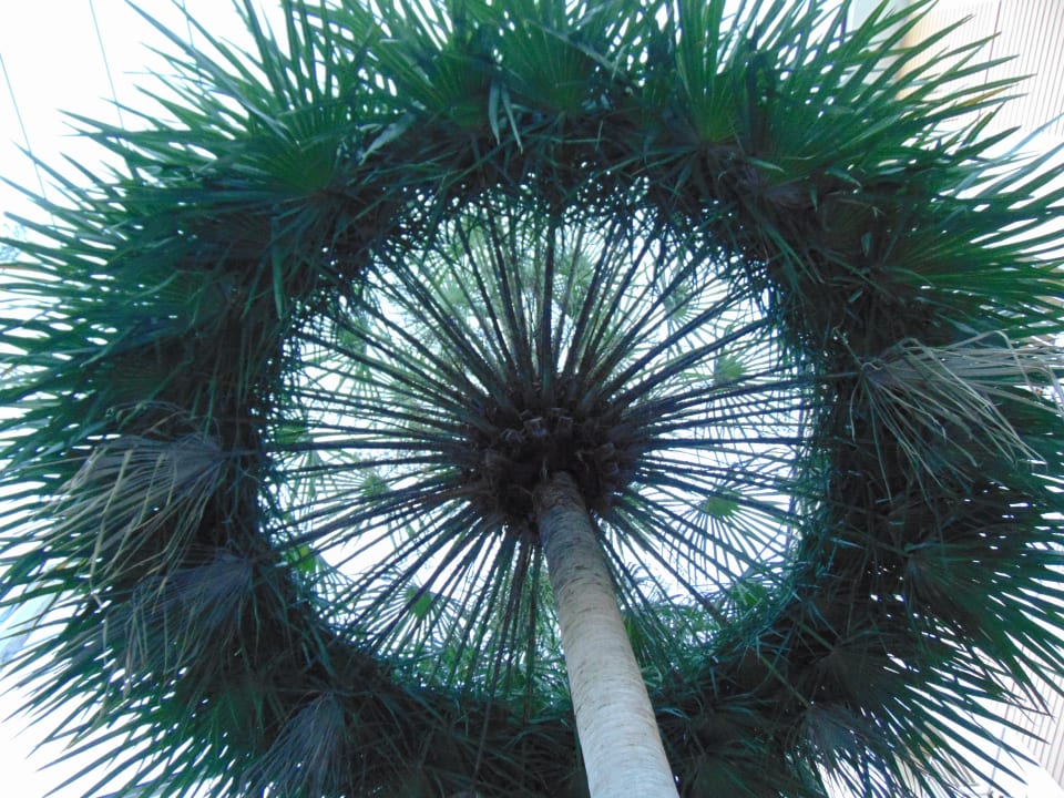 Sonstiges Hotel Smile Hua-Hin Resort