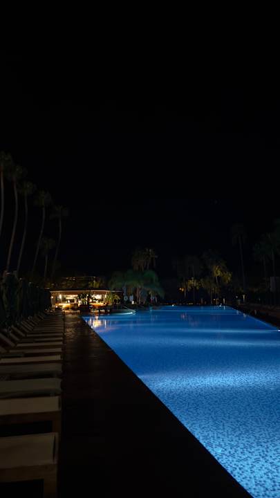 Pool Acanthus Cennet Barut Collection