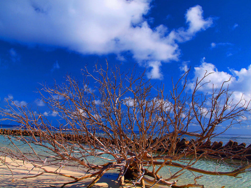 Natur Kuredu Island Resort & Spa