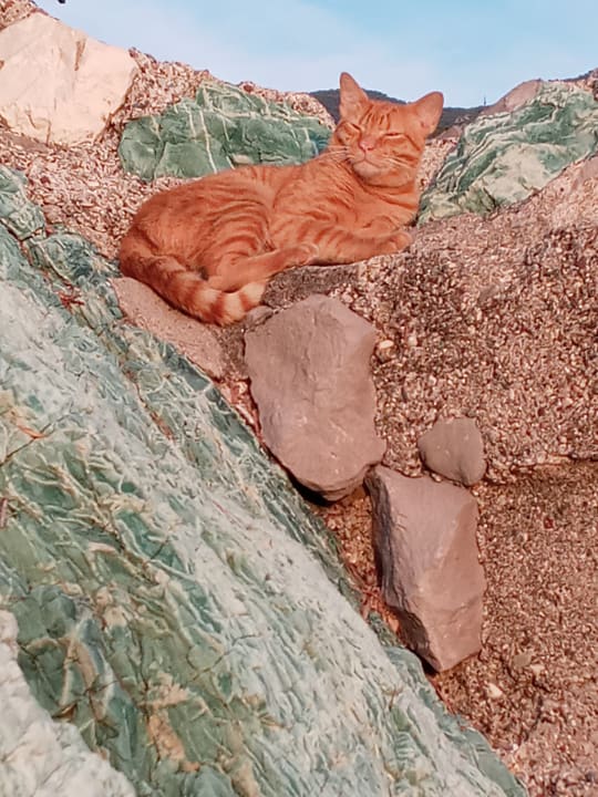 Sonstiges Iberostar Waves Bellevue