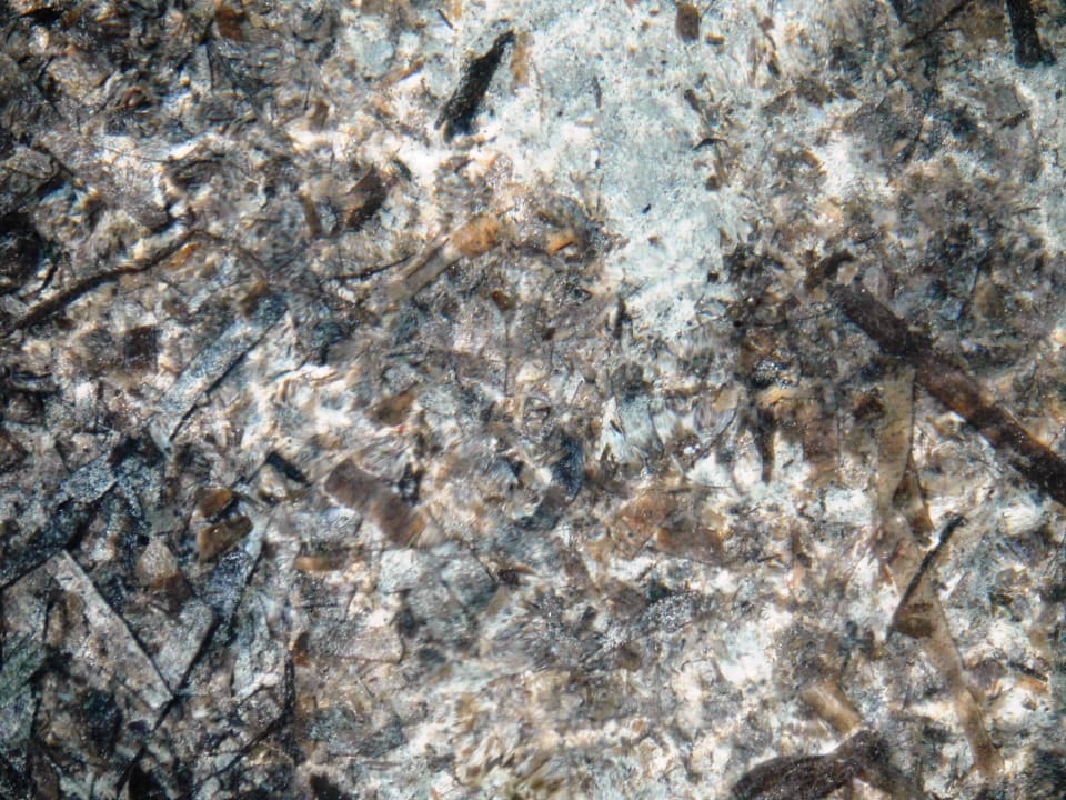 Unter Wasser Barceló Portinatx - Adults only