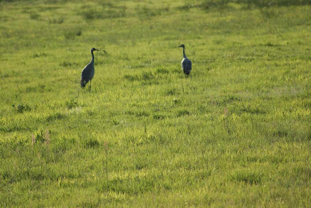 Dworek Klewiny Bauernhof Dwór Klewiny