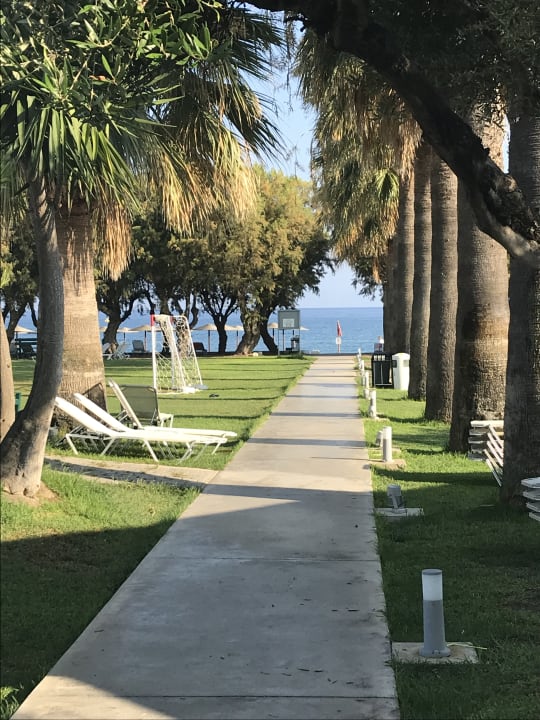 Gartenanlage TUI KIDS CLUB Alex Beach