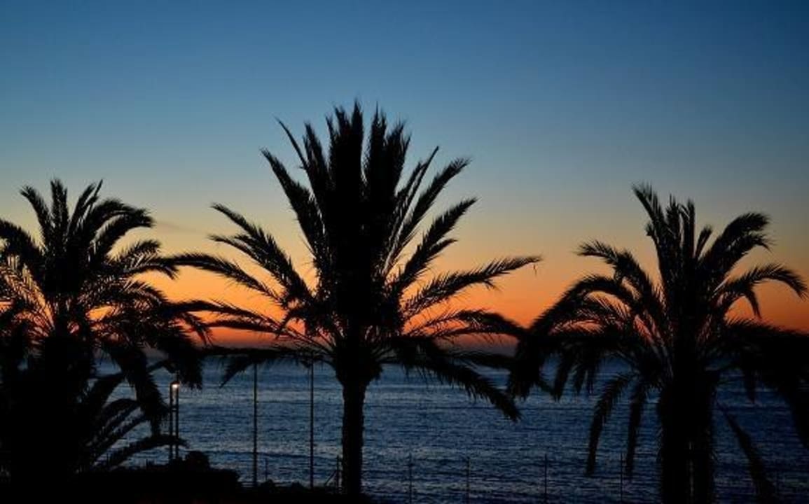Amanecer desde el hotel Hotel Albahia Alicante