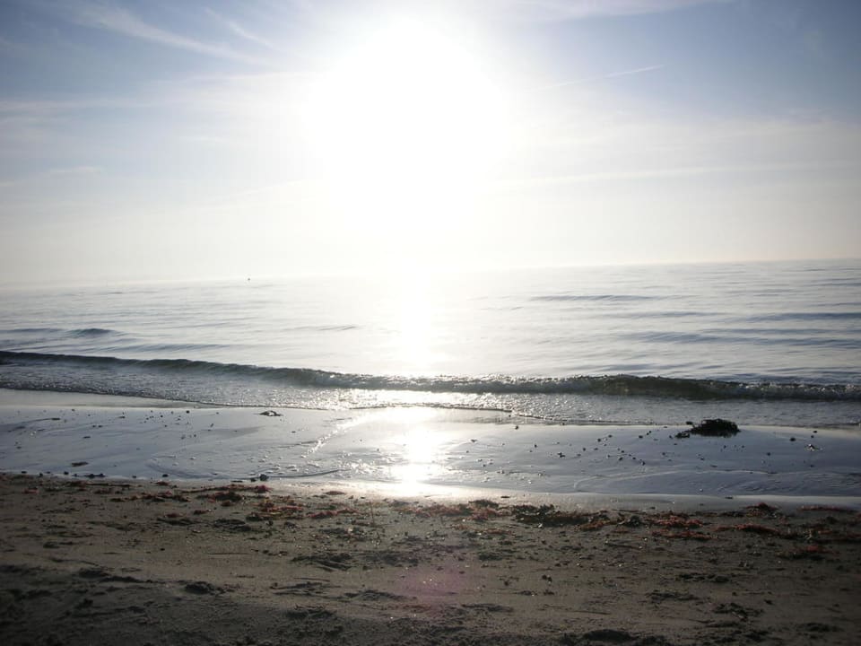 Der Hotel-Strand am Abend Ferienwohnungen Ferienpark Weissenhäuser Strand