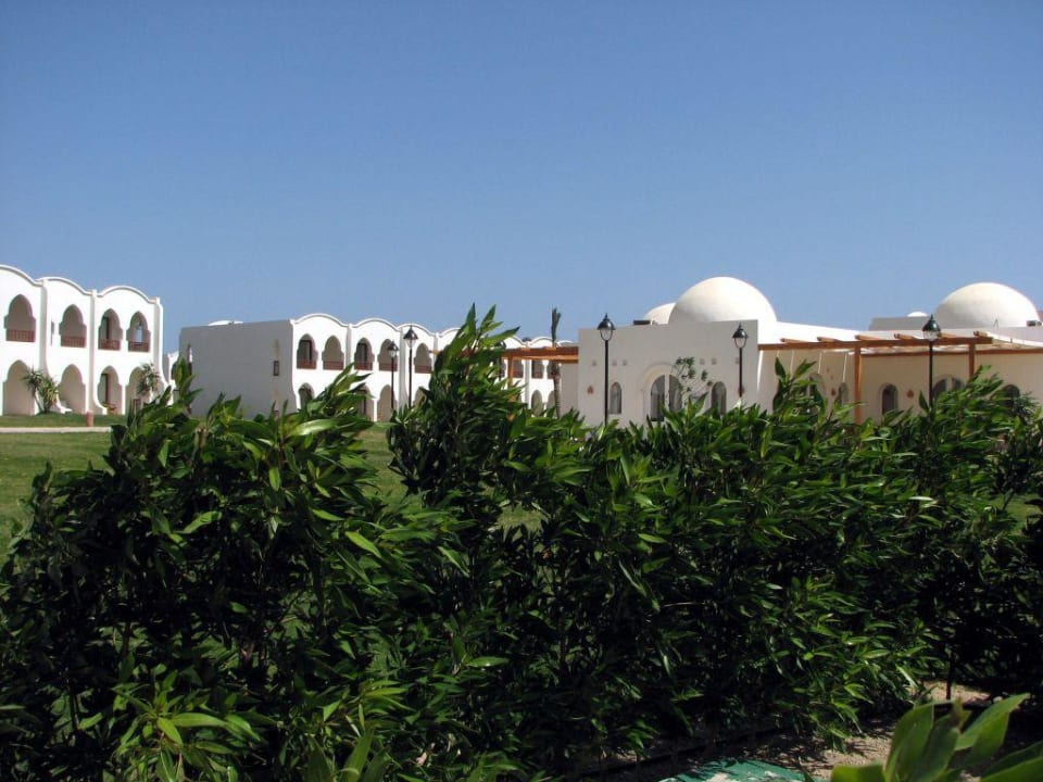 Hotel Hotel Gorgonia Beach Resort