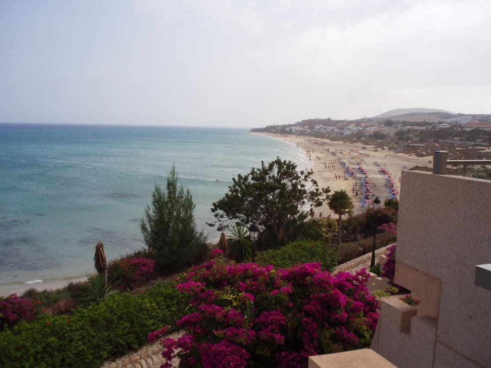 Suite mit Meerblick SBH Hotel Taro Beach