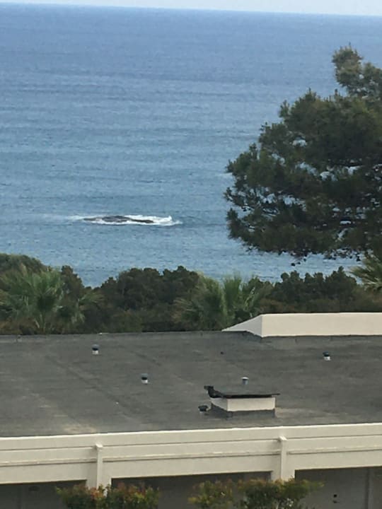 Ausblick Rodos Princess Beach Hotel & Spa