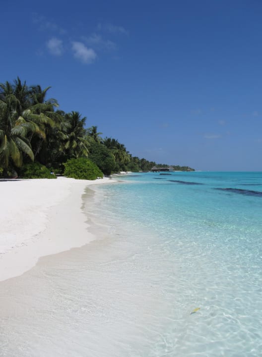 Strand an der Dhoni Bar Kuramathi Maldives