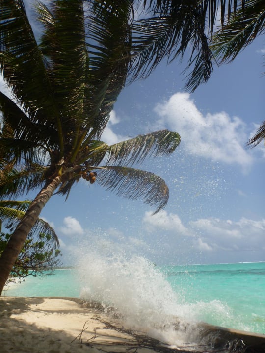 Wäre schon eine Postkarte wert Summer Island Maldives