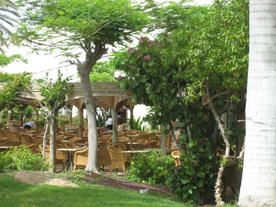 Frühstücksterrasse SBH Hotel Costa Calma Palace