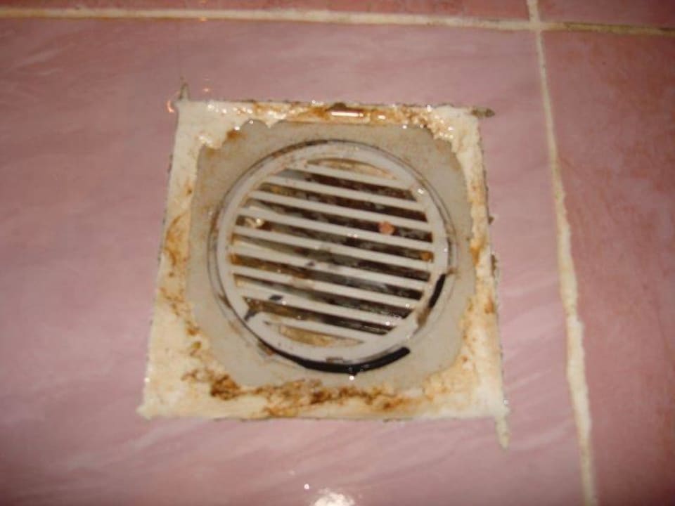 Verschimmelter Abfluss in Dusche  Fantazia Resort Marsa Alam