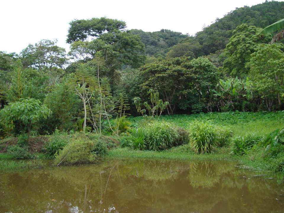 Einige Schritte von den Holzhäusschen entfernt Campestre Naranjo