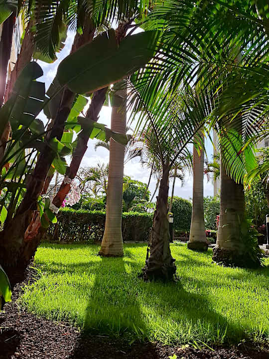 Gartenanlage allsun Hotel Lucana