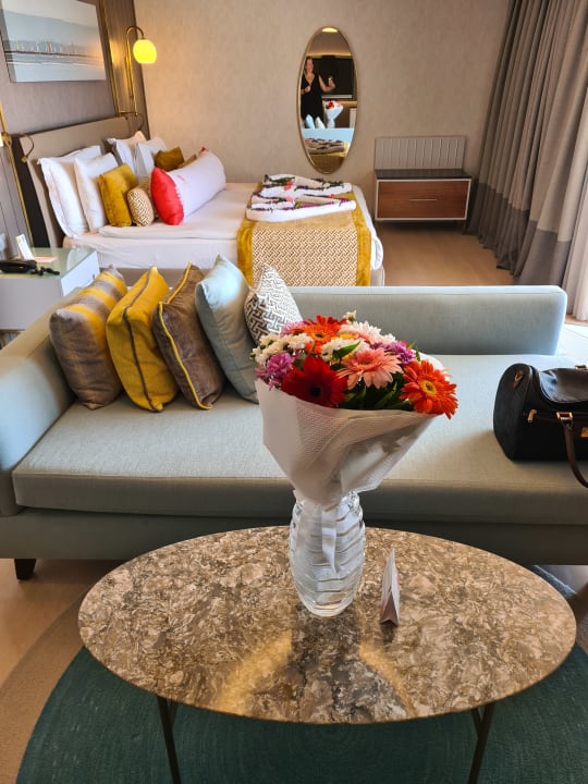 Zimmer Arum Barut Collection