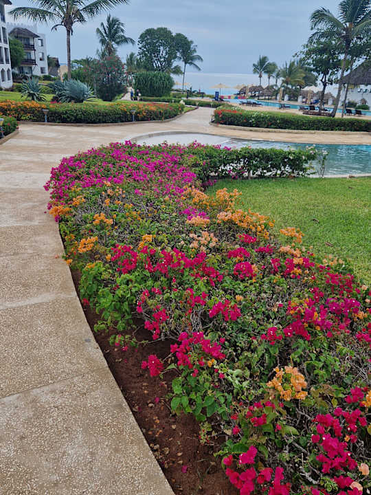 Gartenanlage Royal Zanzibar Beach Resort