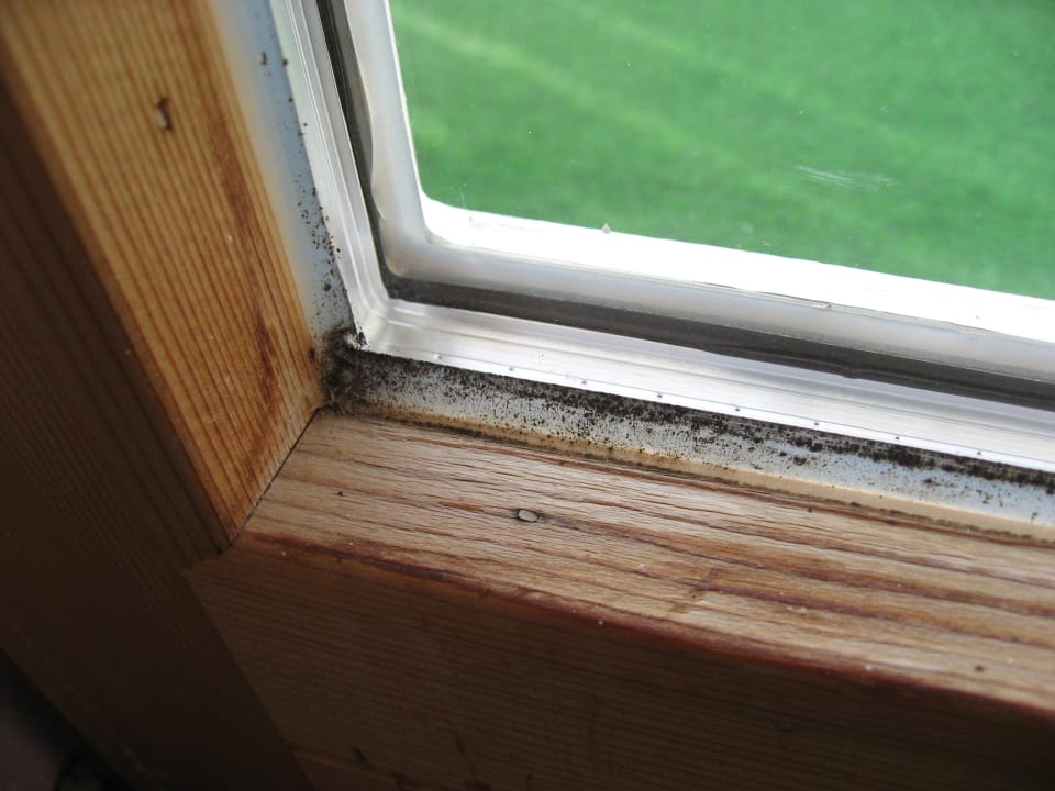 Die Balkontüre Landhotel Koller