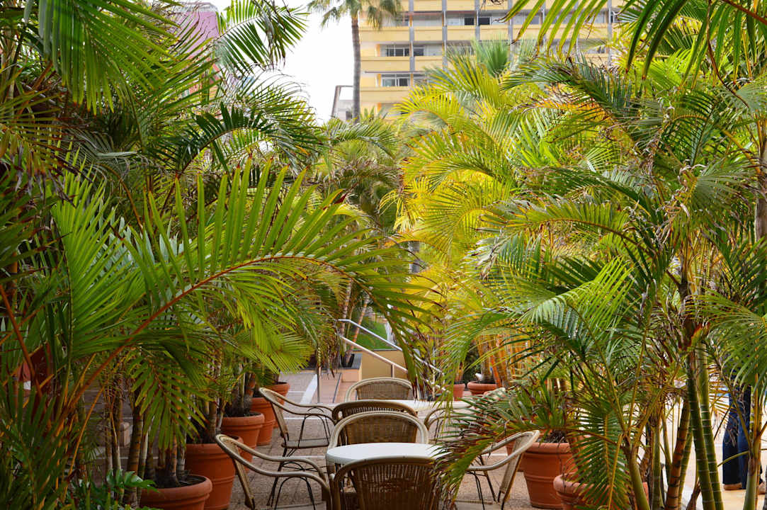 Sitzgelegenheit ausserhalb  Bahia Principe Sunlight San Felipe