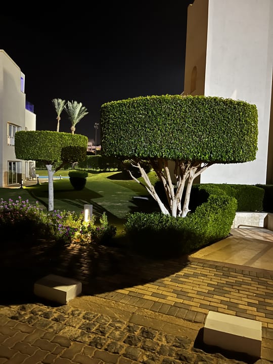 Gartenanlage Steigenberger ALDAU Beach Hotel