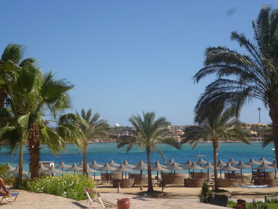 Schöner Strand Steigenberger Coraya Beach - Adults only