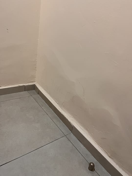 Zimmer AQI Pegasos World