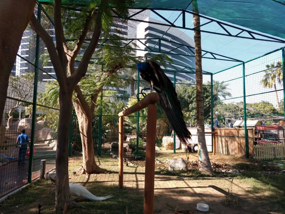 Gartenanlage Grand Hyatt Dubai