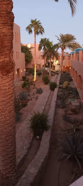 Gartenanlage Club Paradisio El Gouna, Red Sea