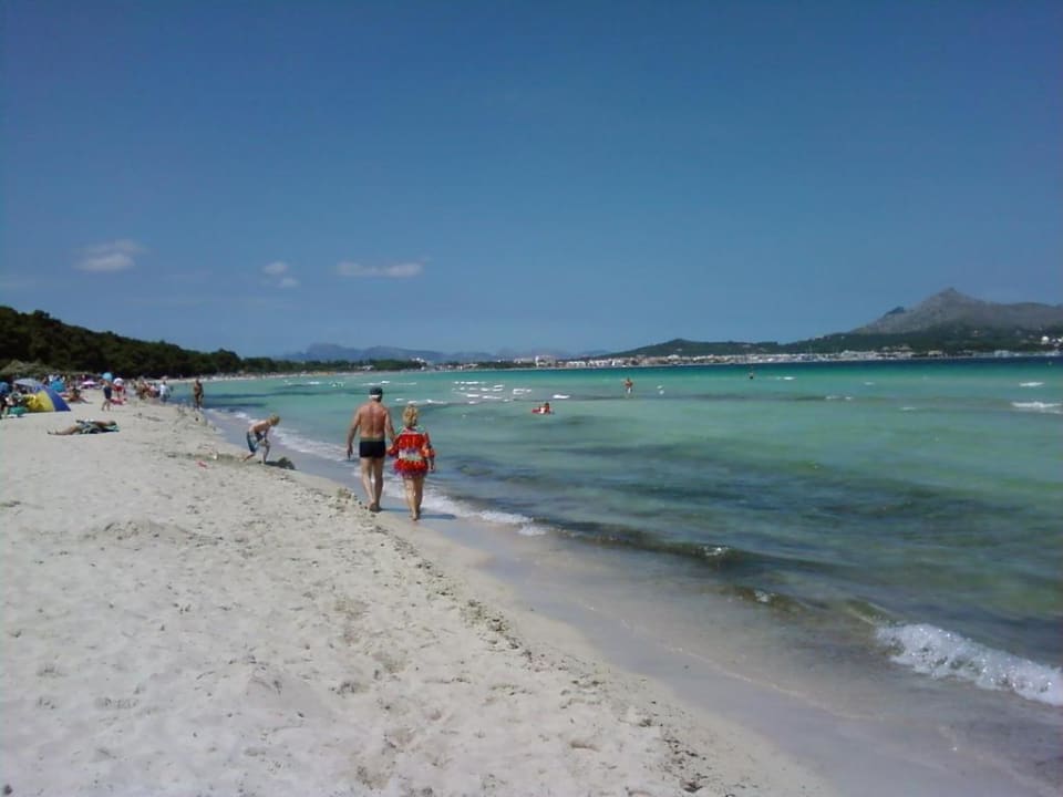 Strand 200 m links vom Hotel Grupotel Los Principes & Spa